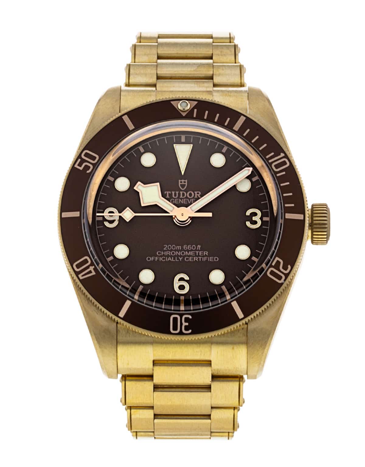 Tudor Black Bay M79012M-0001